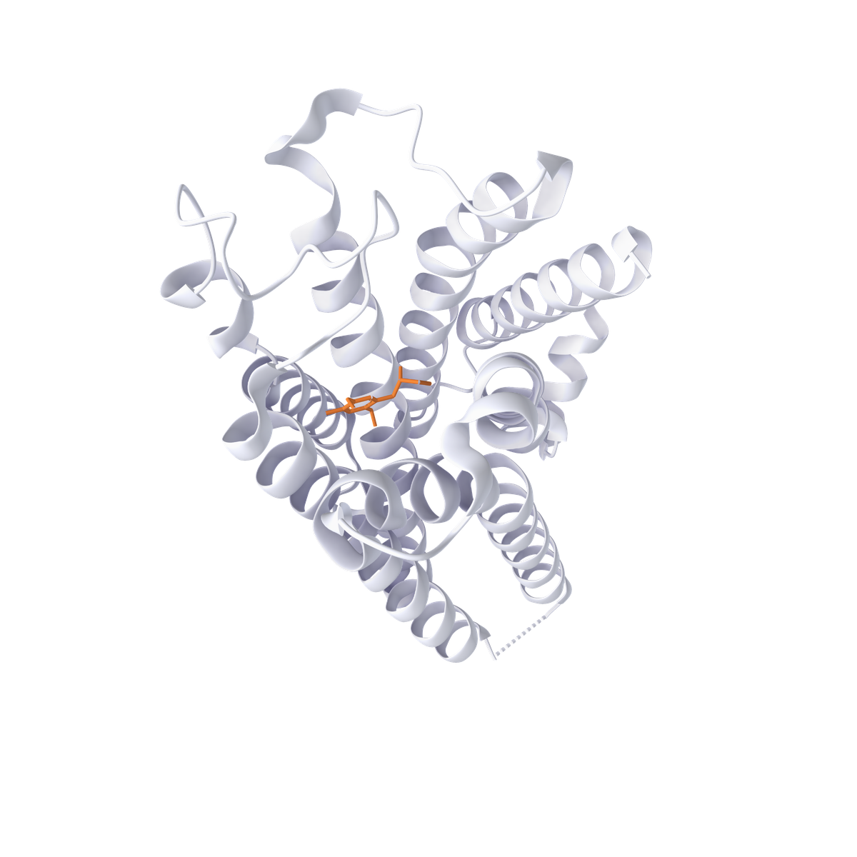 Ribbon representation of the serotonin 5-HT2A receptor, with a bound ligand highlighted in amber. Published structure PDB 9LLA.